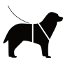 Dogwalk_icon